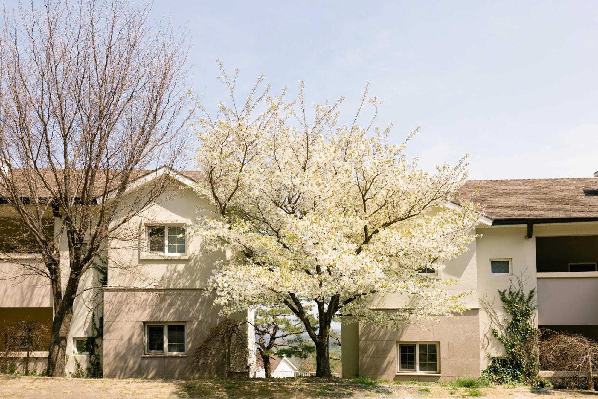 Gyeongju Mauna Ocean Resort Exterior photo